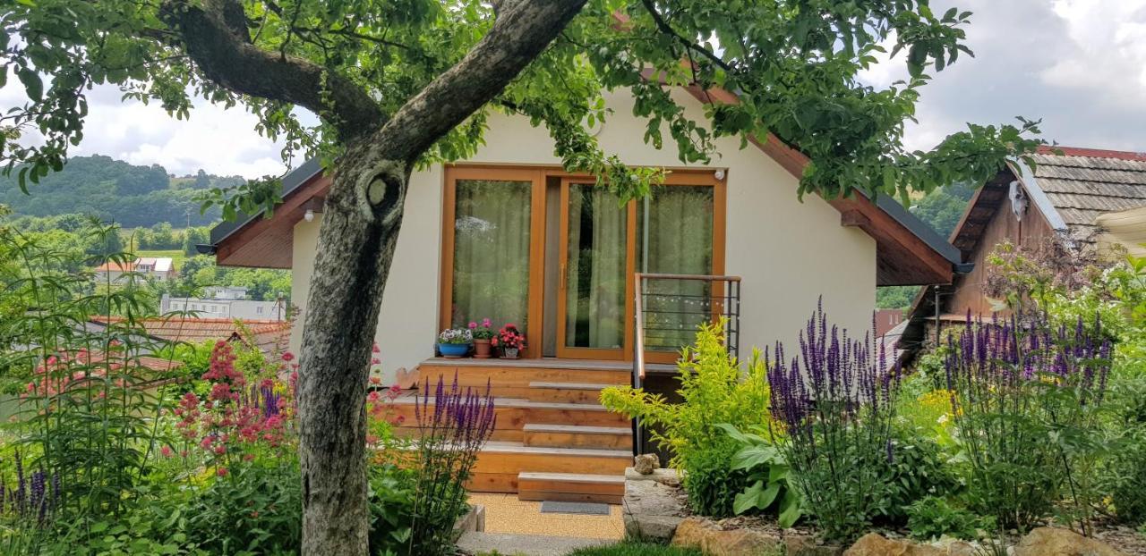 Domcek V Zahrade Villa Banská Štiavnica Kültér fotó